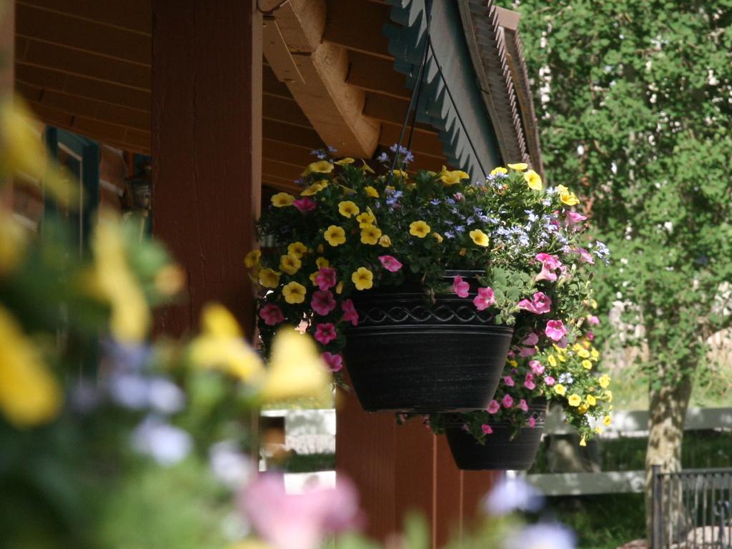 Ouray Inn Екстериор снимка